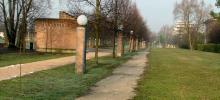 Giardino degli Ulivi di Gerusalemme